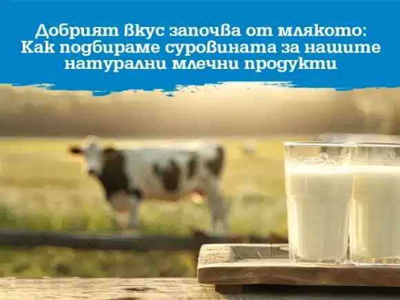 Добрият вкус започва от млякото: Как подбираме суровината за нашите натурални млечни продукти